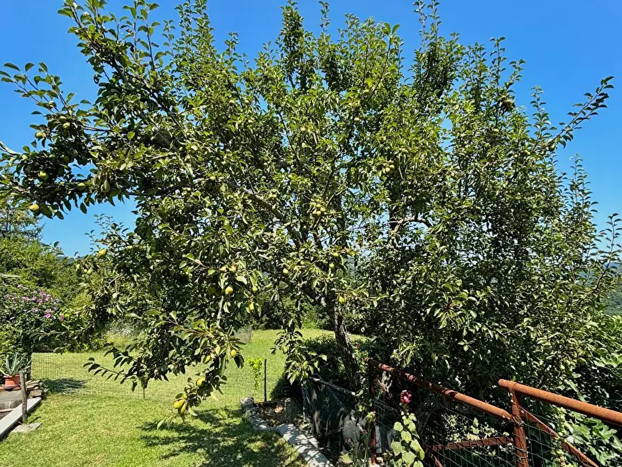 Immagine 89 di Casa indipendente in vendita  in Strada Bergotto 42 a Berceto