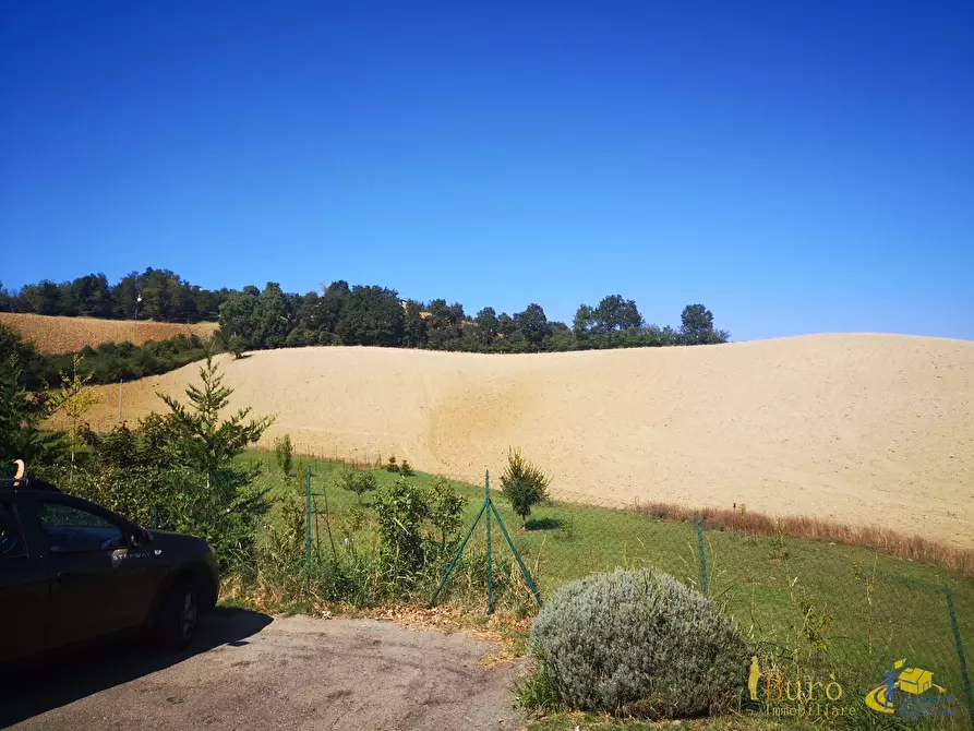 Immagine 4 di Terreno agricolo in vendita  in Strada delle Vigne 3 a Sala Baganza