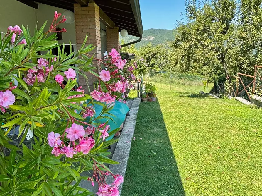 Immagine 13 di Casa indipendente in vendita  in Strada Bergotto 42 a Berceto