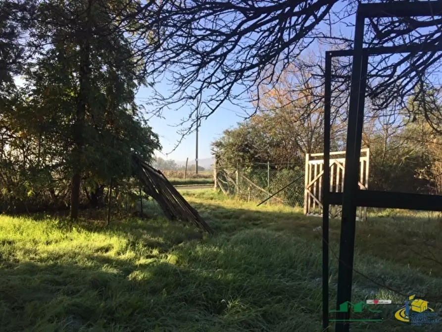 Immagine 6 di Terreno agricolo in vendita  in loc. Bezzo Bellini a Medesano