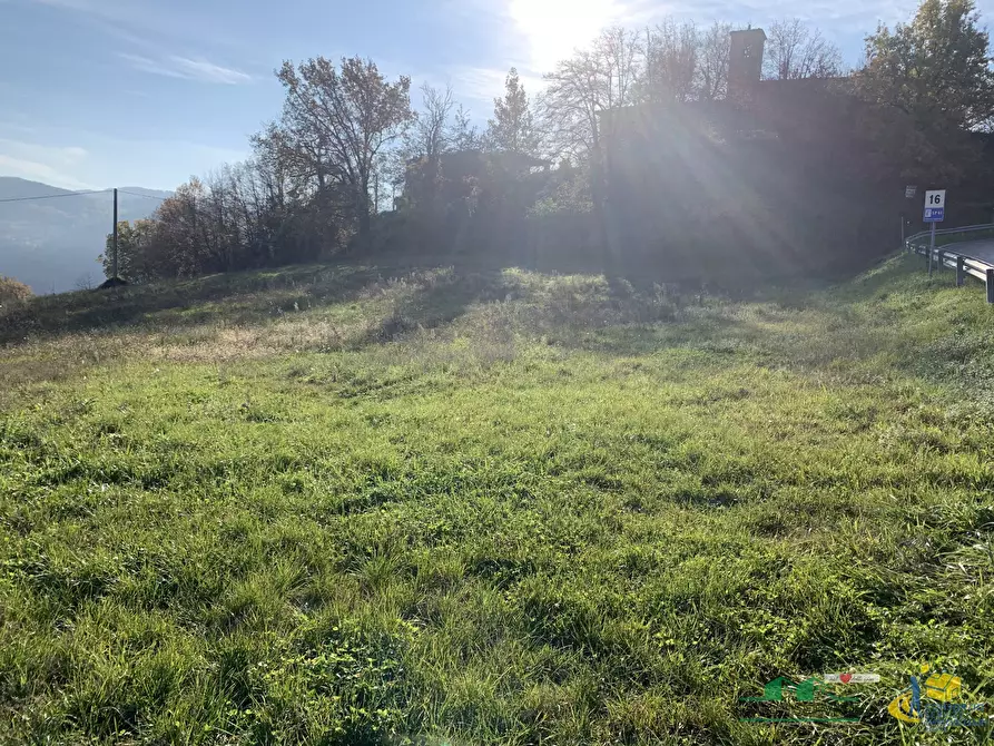 Immagine 5 di Terreno edificabile in vendita  a Langhirano