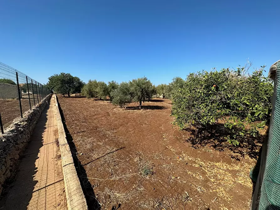 Immagine 14 di Villa in vendita  in SP44 a Modica