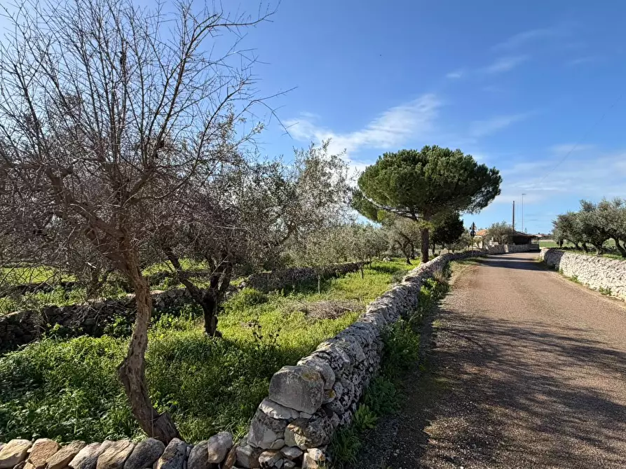 Immagine 14 di Villa in vendita  in Via Vanella 91 a Modica