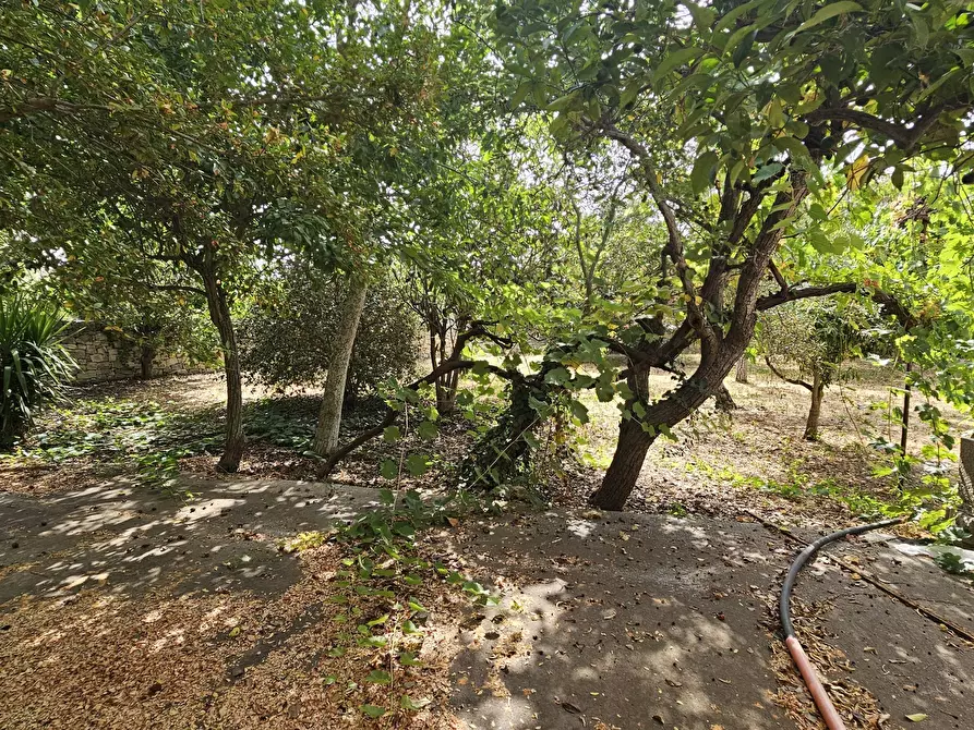 Immagine 20 di Villa in vendita  a Modica