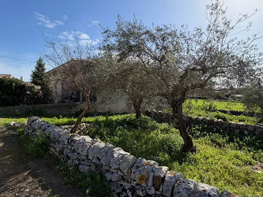 Immagine 5 di Villa in vendita  in Via Vanella 91 a Modica