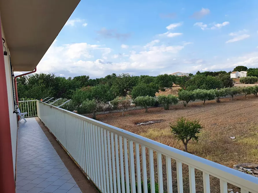 Immagine 15 di Villa in vendita  in Strada Provinciale 40 a Scicli