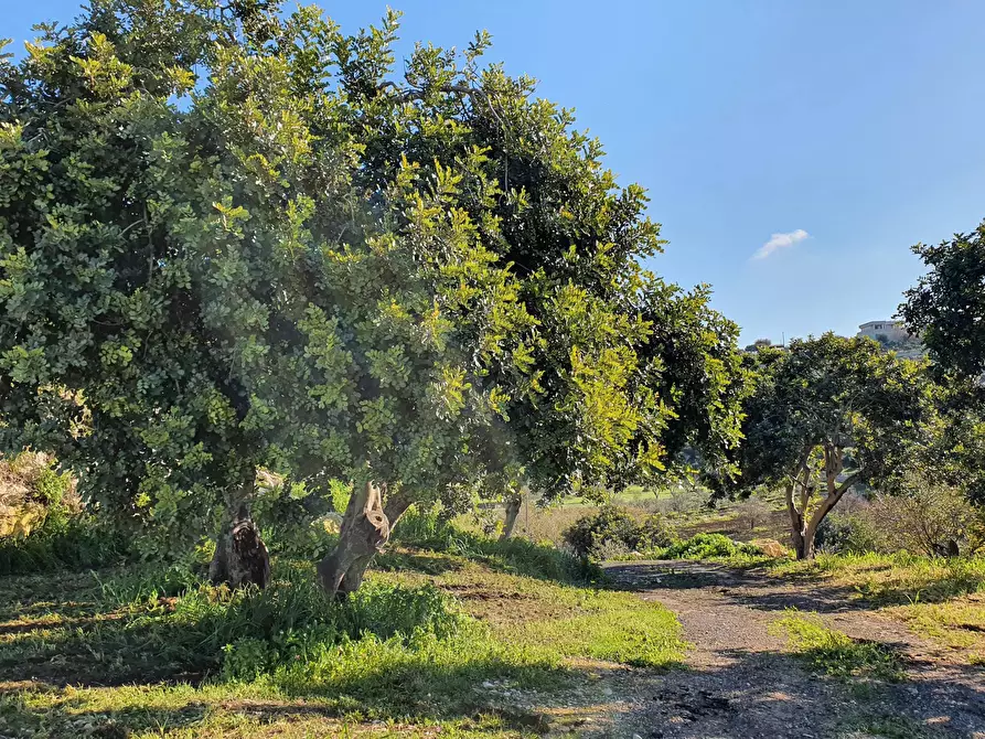 Immagine 22 di Rustico / casale in vendita  a Modica