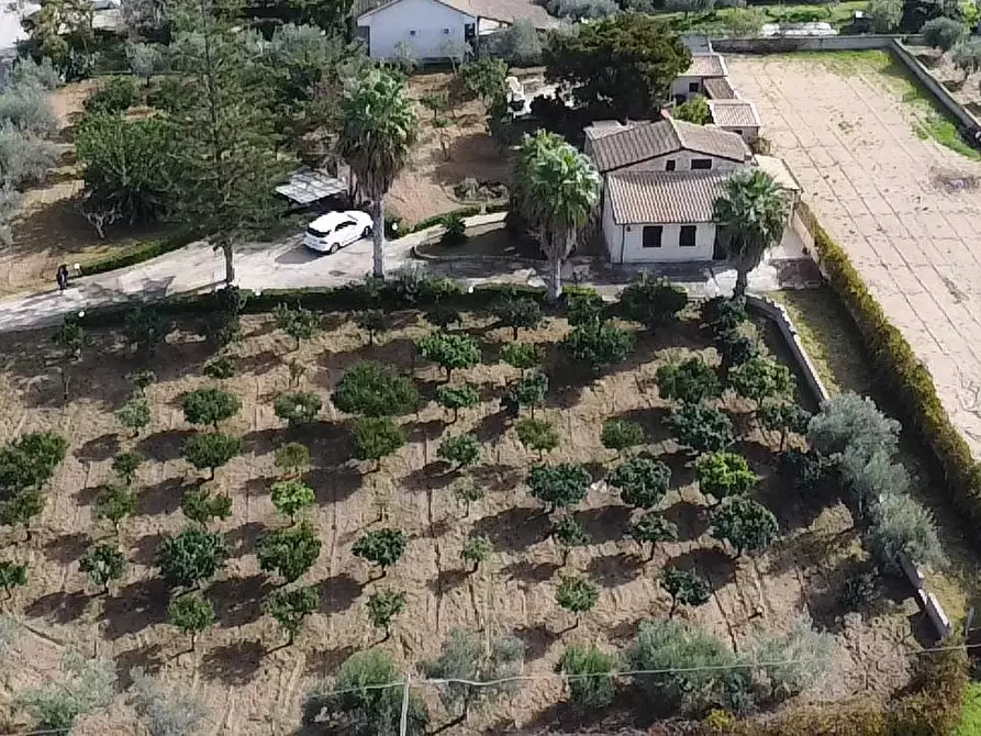 Immagine 29 di Villa in vendita  in Via del Giglio a Ispica