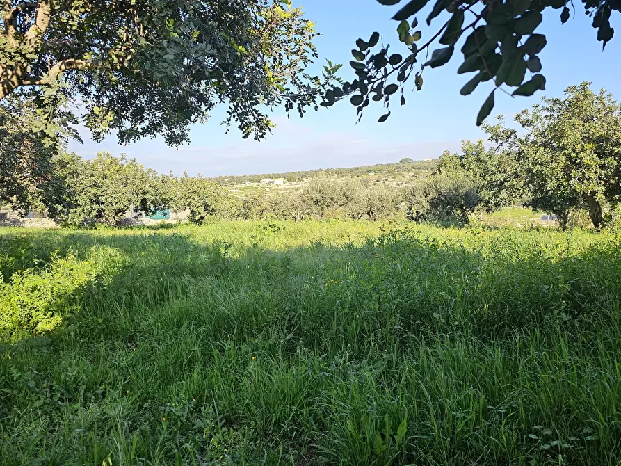 Immagine 3 di Casa indipendente in vendita  in Contrada Cozzo Rao sn a Scicli
