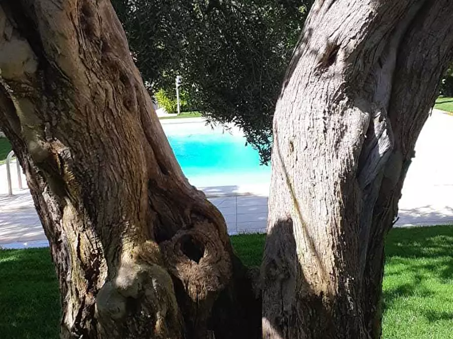 Immagine 18 di Villa in vendita  a Scicli