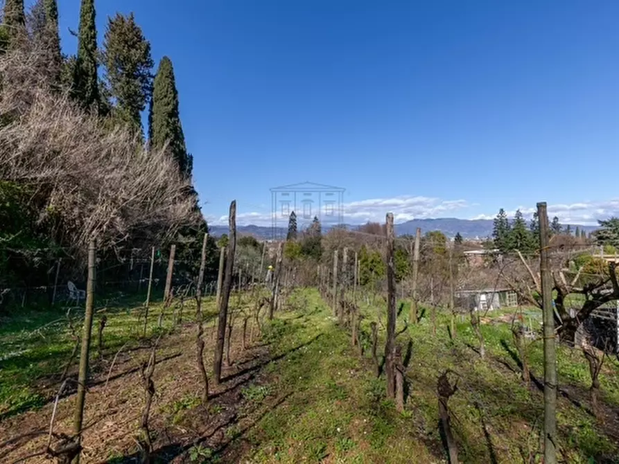 Immagine 7 di Rustico / casale in vendita  in Via della Pollicchia 145 a Lucca