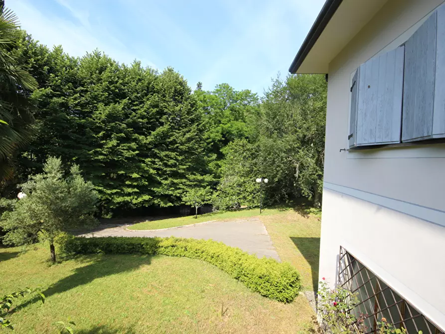 Immagine 11 di Villa in vendita  in via pradalino a Camaiore