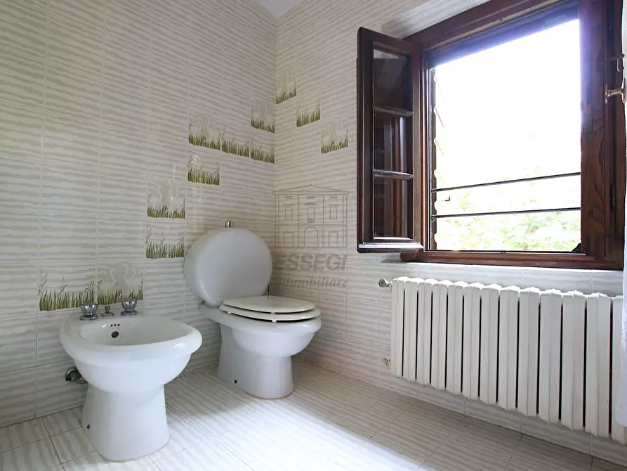 Immagine 102 di Rustico / casale in vendita  in Via della Chiesa di Gragnano a Lucca