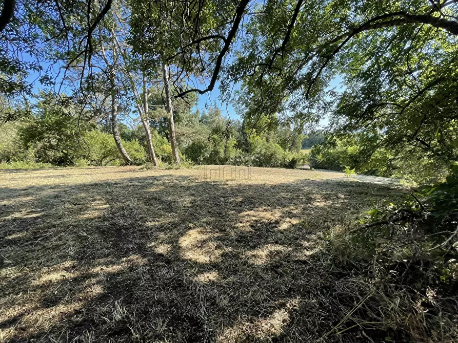 Immagine 24 di Villa in vendita  in Via Vecchia Pesciatina in Gragnano a Lucca