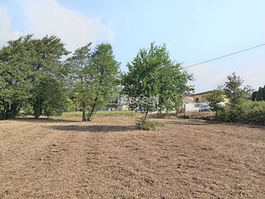 Immagine 1 di Terreno agricolo in vendita  in Via per Chiatri a Lucca