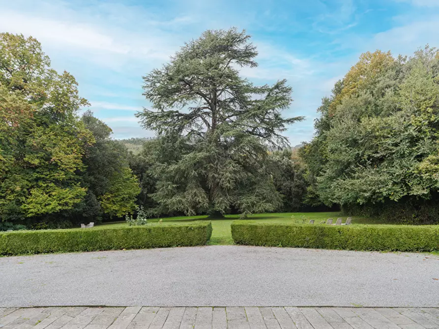 Immagine 38 di Rustico / casale in vendita  in Per matraia 22 a Capannori