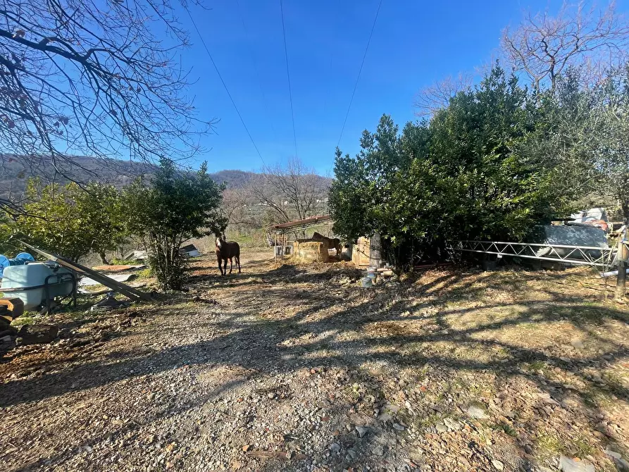 Immagine 13 di Rustico / casale in vendita  in Via dei bertolotti a Lucca