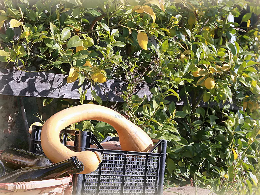 Immagine 48 di Rustico / casale in vendita  in Via di matraia a Lucca