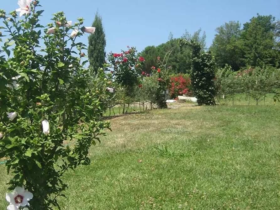 Immagine 19 di Rustico / casale in vendita  in via di san martino a Lucca