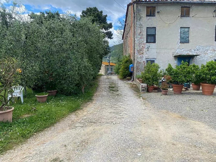 Immagine 3 di Rustico / casale in vendita  in Via di Palmata 425 a Lucca