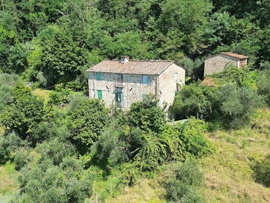 Immagine 4 di Rustico / casale in vendita  in Via Tofori a Lucca