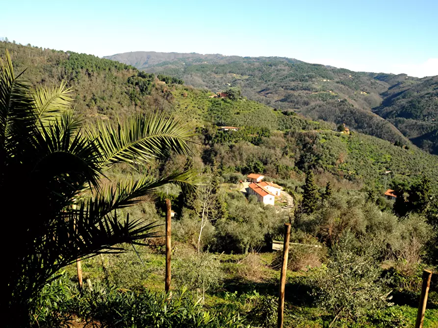 Immagine 34 di Rustico / casale in vendita  in Strada Senza Nome 5 a Pescia