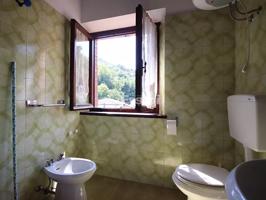 Immagine 15 di Rustico / casale in vendita  in Valpromaro a Massarosa