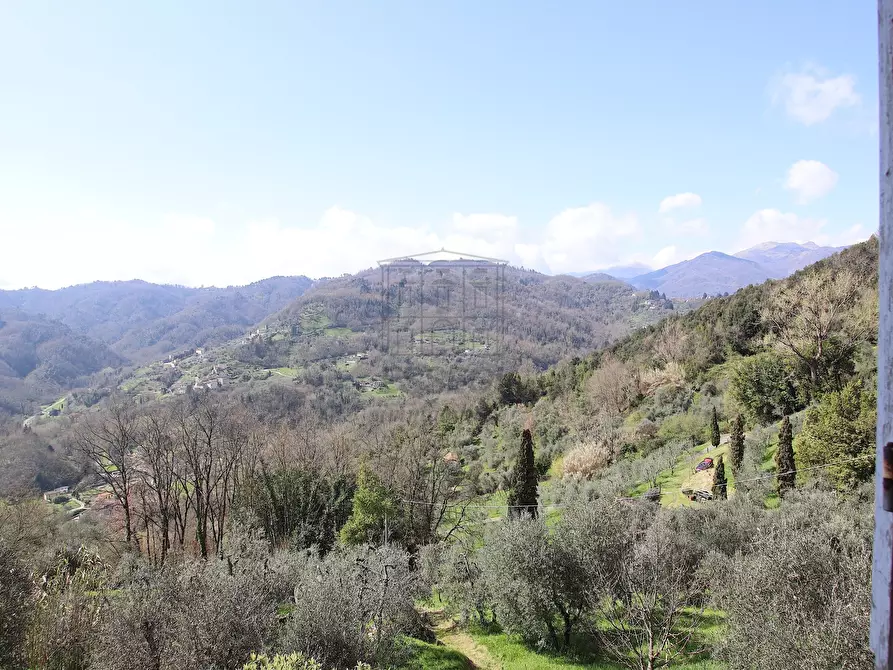 Immagine 25 di Rustico / casale in vendita  in Strada Comunale di Valdottavo, valdottavo 32 a Borgo A Mozzano