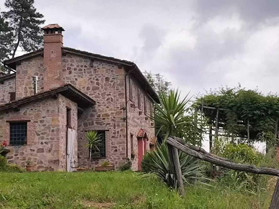 Immagine 21 di Rustico / casale in vendita  in viadon aldo mei a Buti