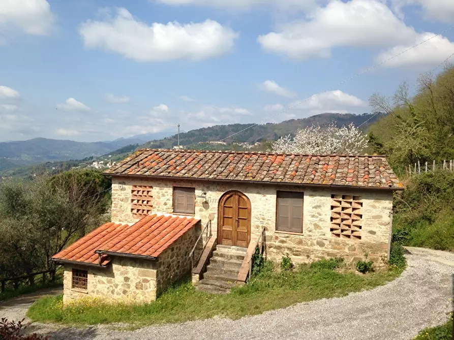 Immagine 83 di Rustico / casale in vendita  in Via di matraia a Lucca