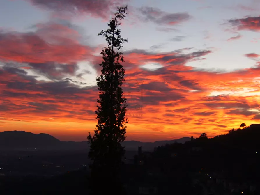 Immagine 45 di Rustico / casale in vendita  a Capannori