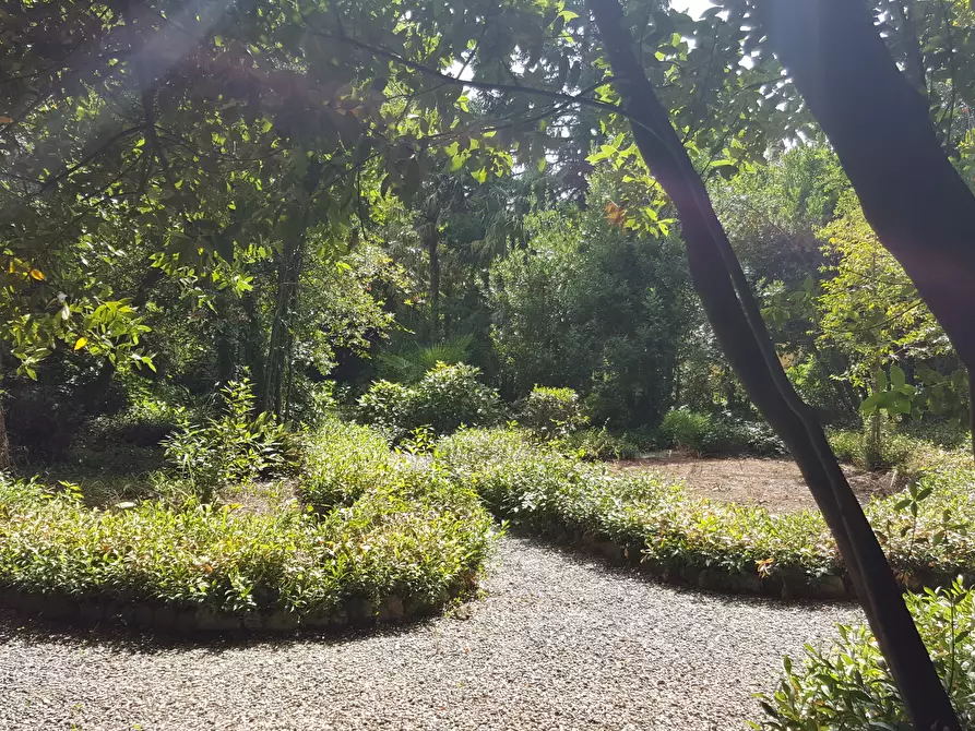 Immagine 13 di Villa in vendita  a Lucca