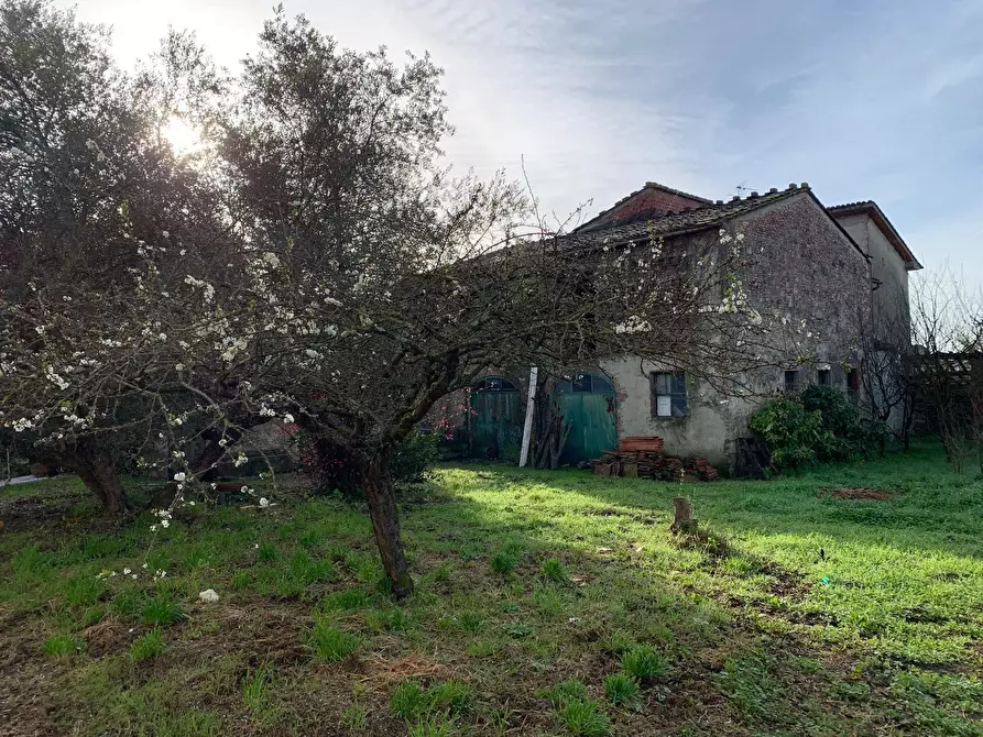 Immagine 14 di Terratetto in vendita  in via della chiesa di Camigliano, Camigliano 1 a Lucca