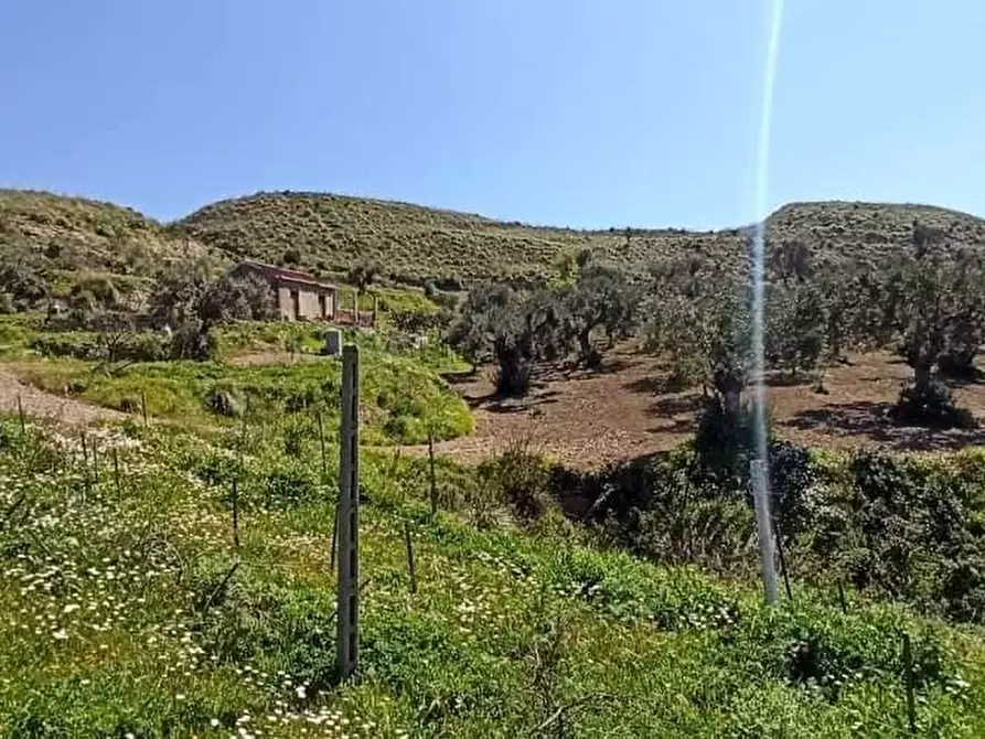 Immagine 3 di Terreno agricolo in vendita  a Motta San Giovanni