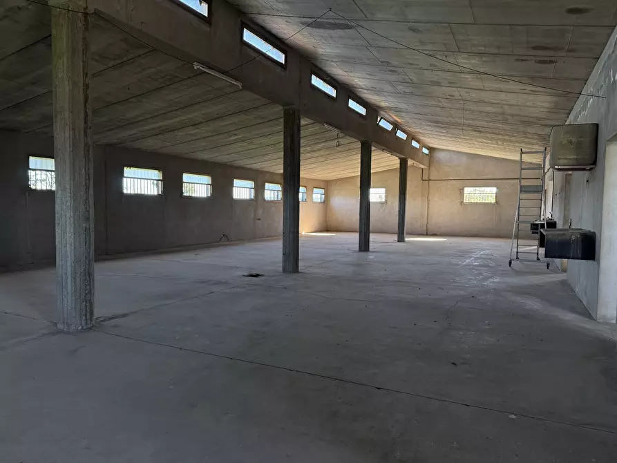 Immagine 10 di Magazzino in vendita  a Monastir