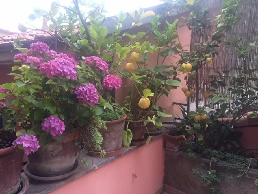 Immagine 9 di Pentalocale in vendita  a Arcola