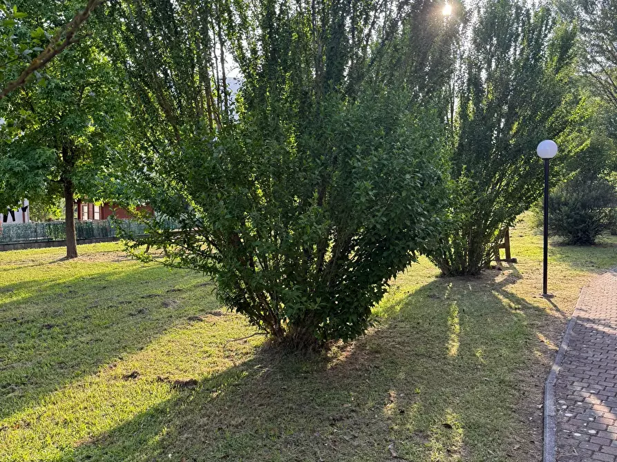 Immagine 32 di Trilocale in vendita  a Ameglia