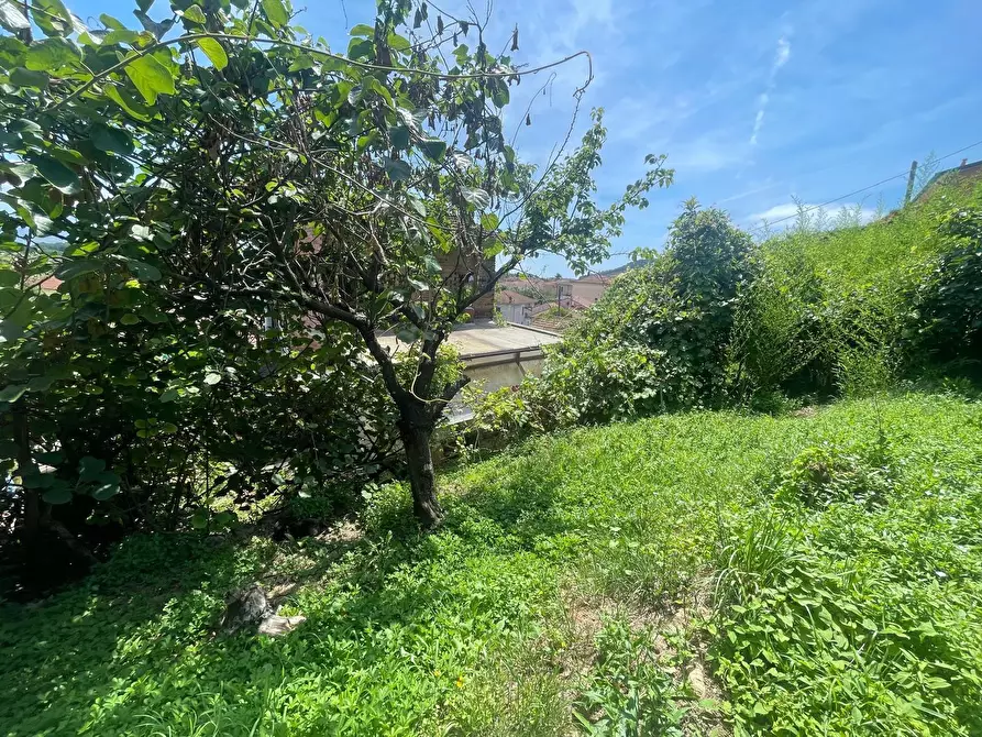 Immagine 3 di Casa indipendente in vendita  a Ameglia