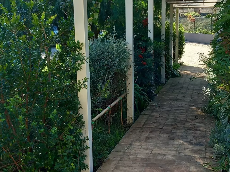 Immagine 28 di Casa indipendente in affitto  a Sarzana