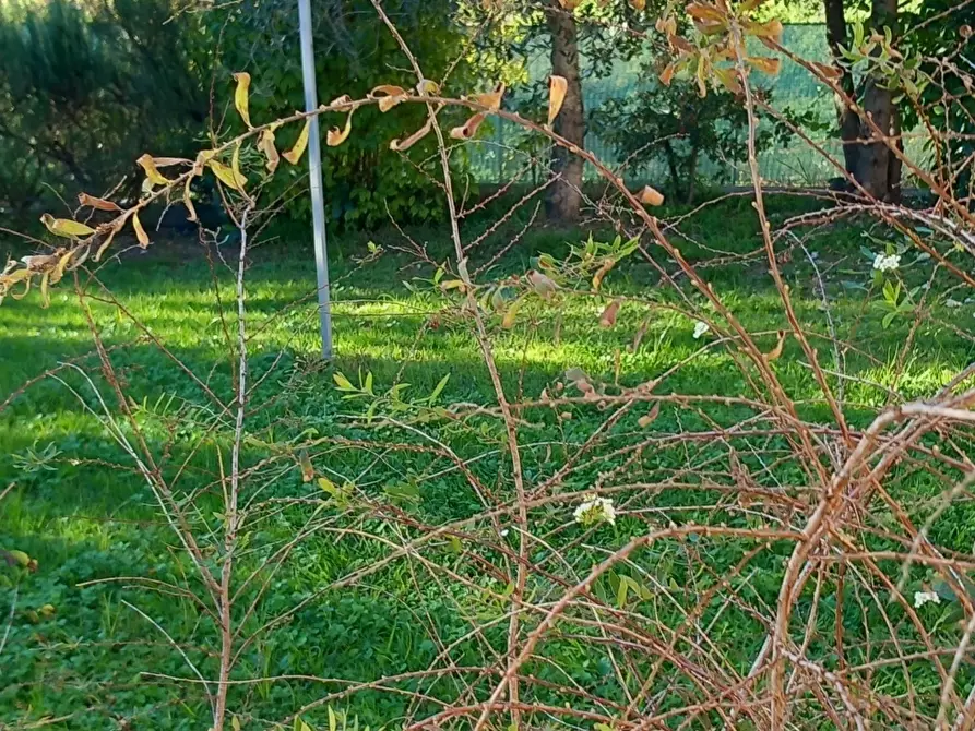 Immagine 29 di Casa indipendente in affitto  a Sarzana