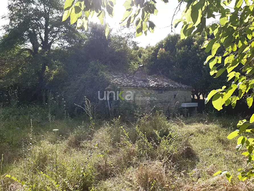 Immagine 6 di Casa indipendente in vendita  in via Barchio 2 a Cupramontana