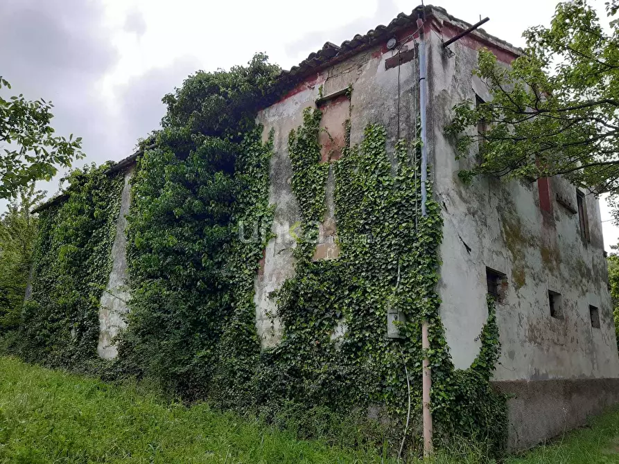 Immagine 3 di Casa indipendente in vendita  in via Barchio 2 a Cupramontana