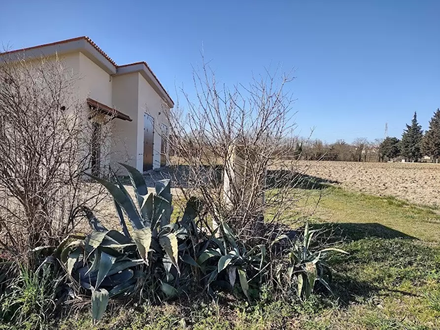 Immagine 4 di Terreno agricolo in vendita  a Jesi