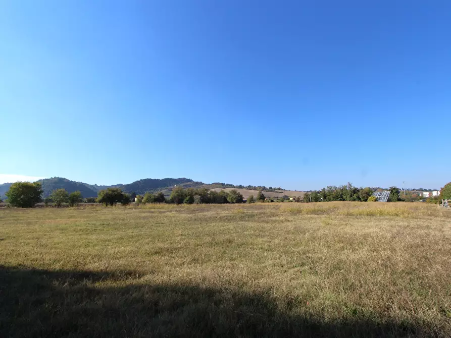 Immagine 3 di Terreno industriale in vendita  in Via Cassola a Valsamoggia