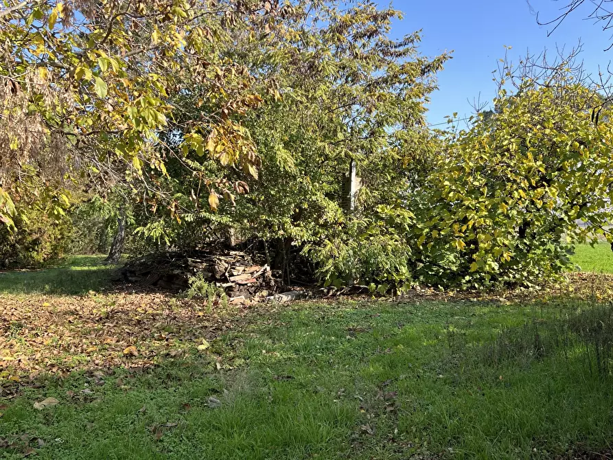 Immagine 13 di Rustico / casale in vendita  in Via Ca' Rossa a Valsamoggia