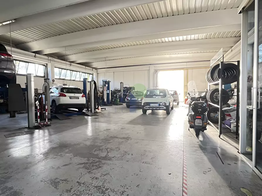 capannone in affitto a Livorno