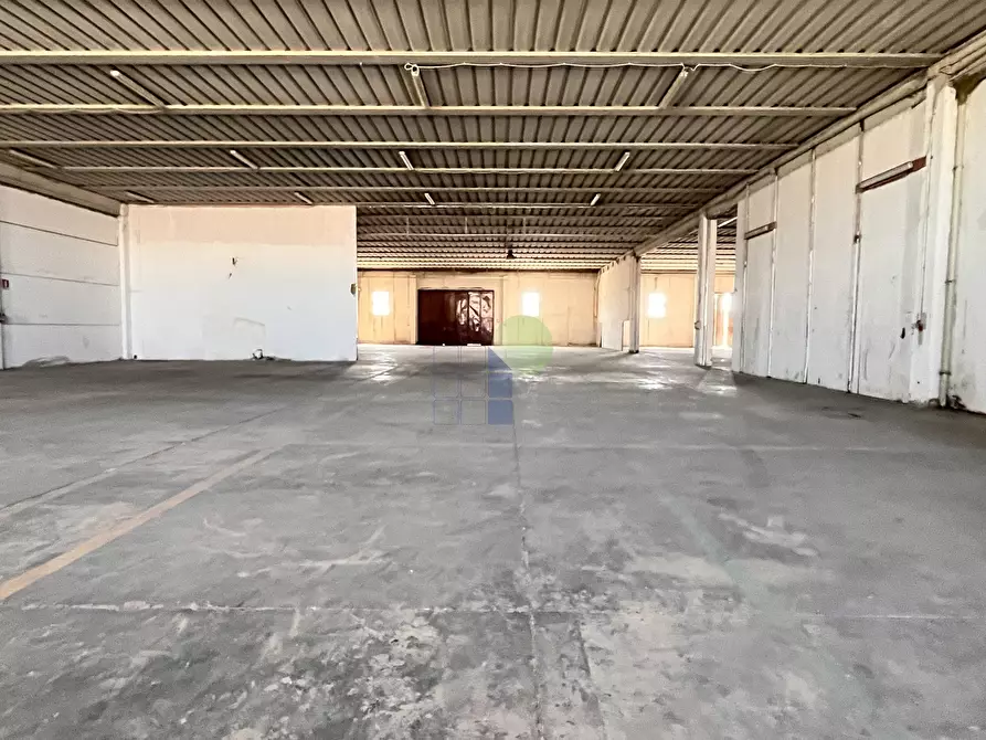 Immagine 2 di Capannone industriale in vendita  in Via per Rosignano 11 a Rosignano Marittimo