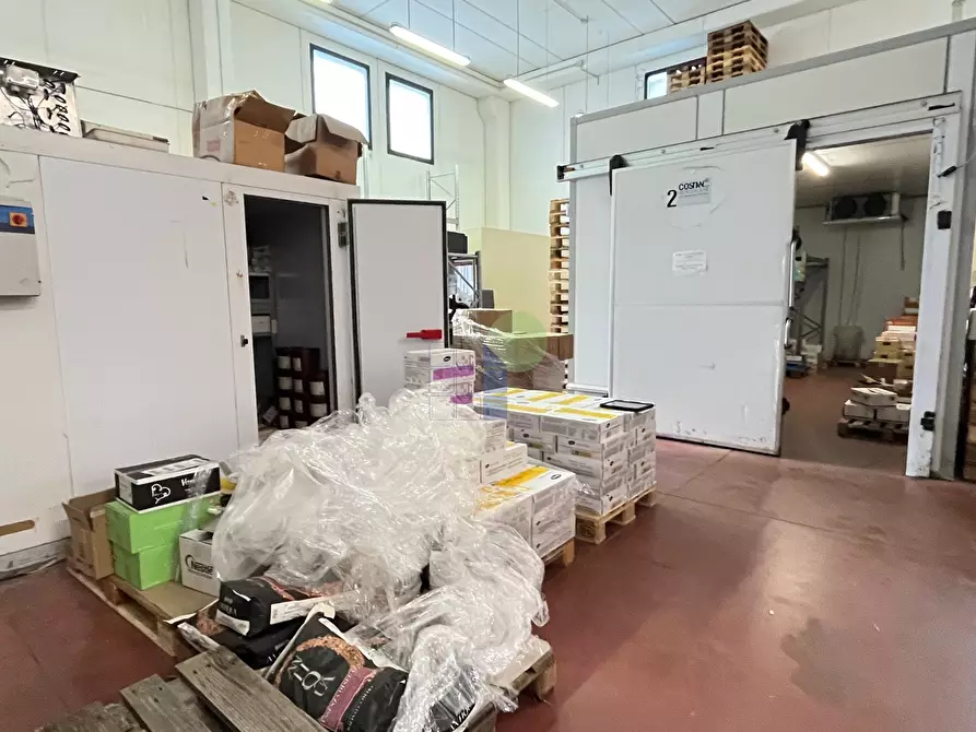 Immagine 18 di Attività artigianale in affitto  in Via Provinciale Pisana 111 a Livorno