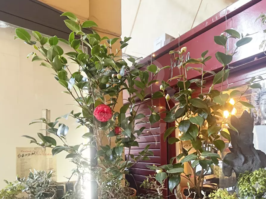 Immagine 12 di Attività commerciale in vendita  in Via dell'Indipendenza 2 a Bologna