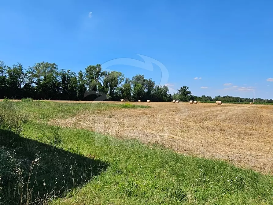 Immagine 31 di Rustico / casale in vendita  a Valsamoggia